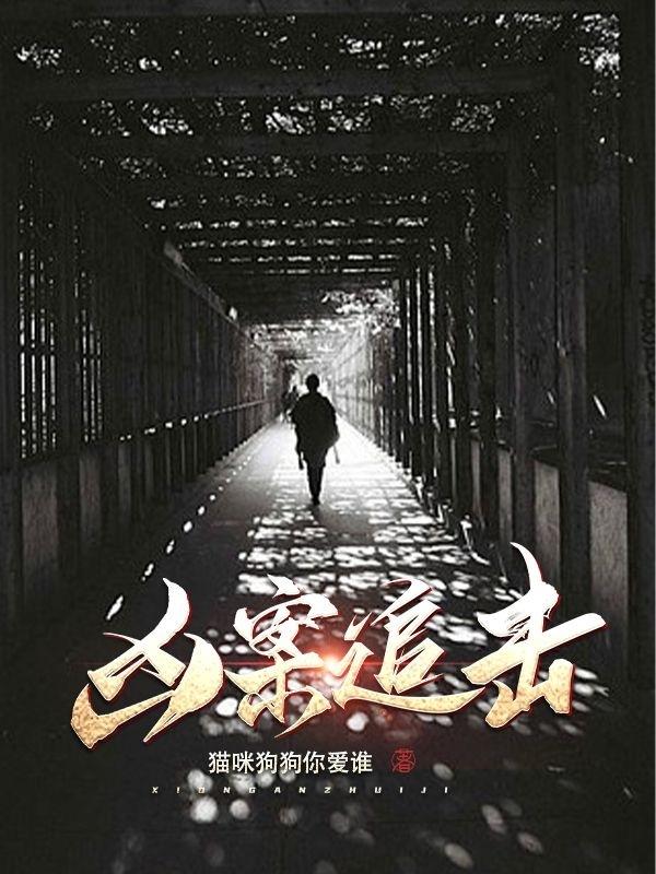 凶案小说